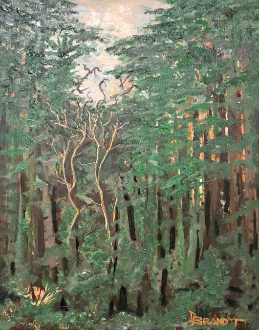 Westcrest Woods 2